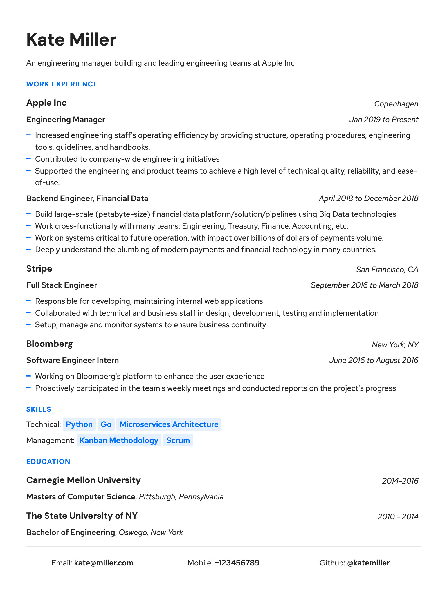 A resume with focus on work experience section